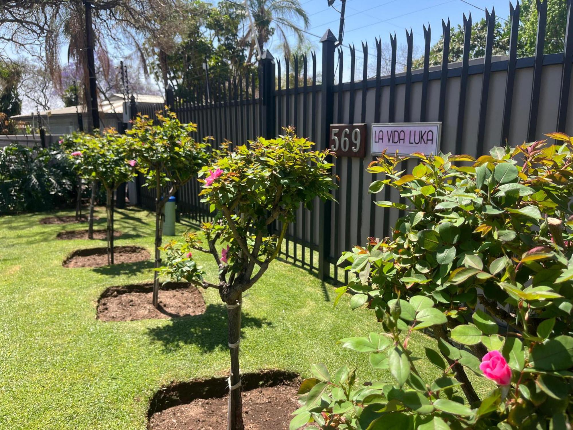 La Vida Luka - Luxury Guesthouse Pretoria-Noord 外观 照片