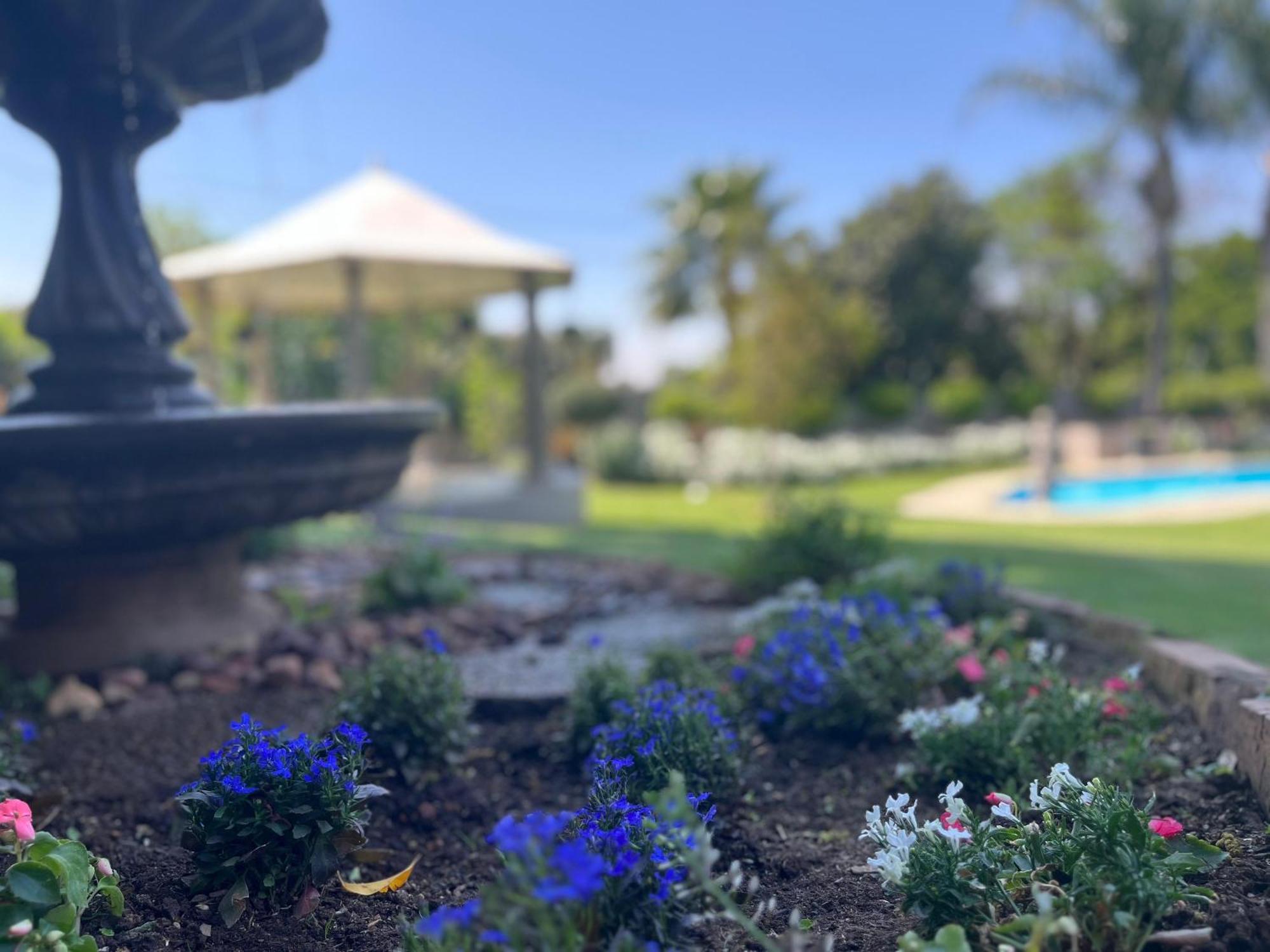 La Vida Luka - Luxury Guesthouse Pretoria-Noord 外观 照片